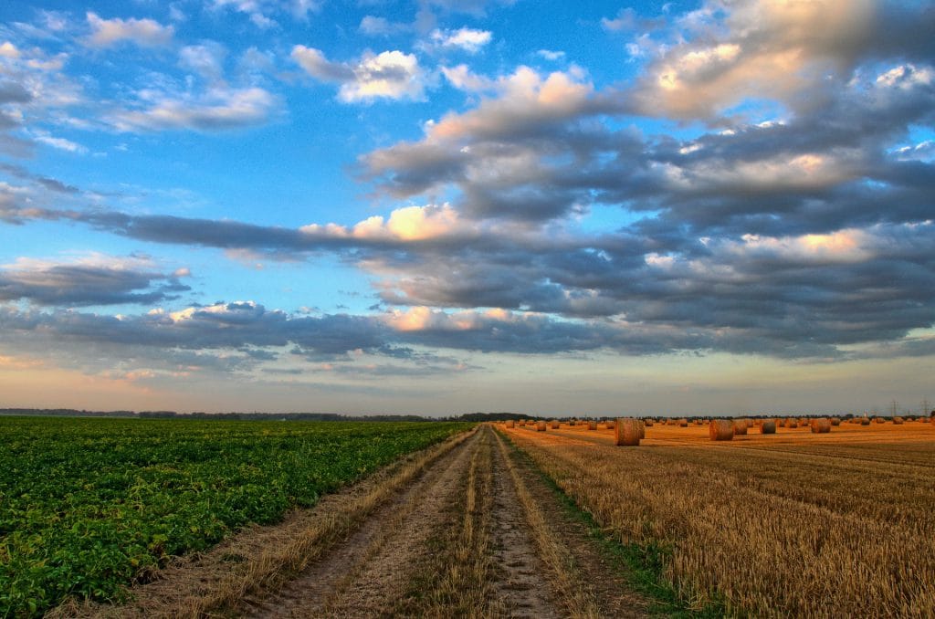 SF-Bay Area Chapter Receives Funding for Rural Broadband Project